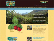 Tablet Screenshot of delcabo.com